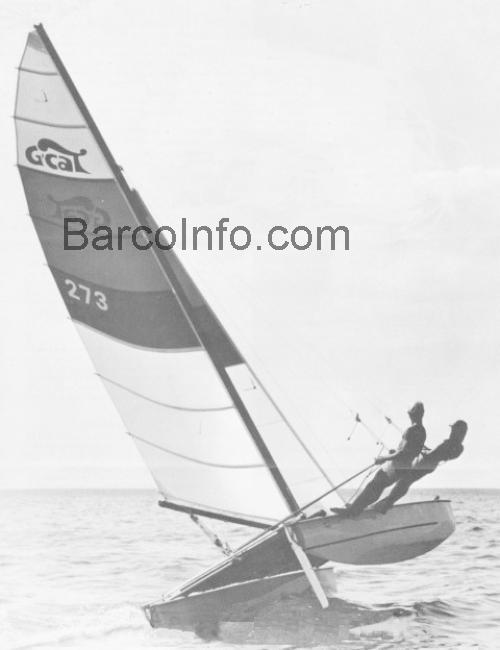 G Cat 5.0 opinión y ficha técnica